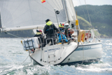 nimrod whyw16 thur 800 4849w